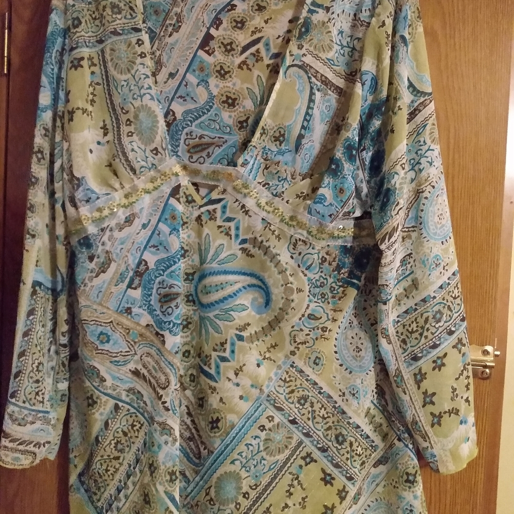 Lane Bryant tunic